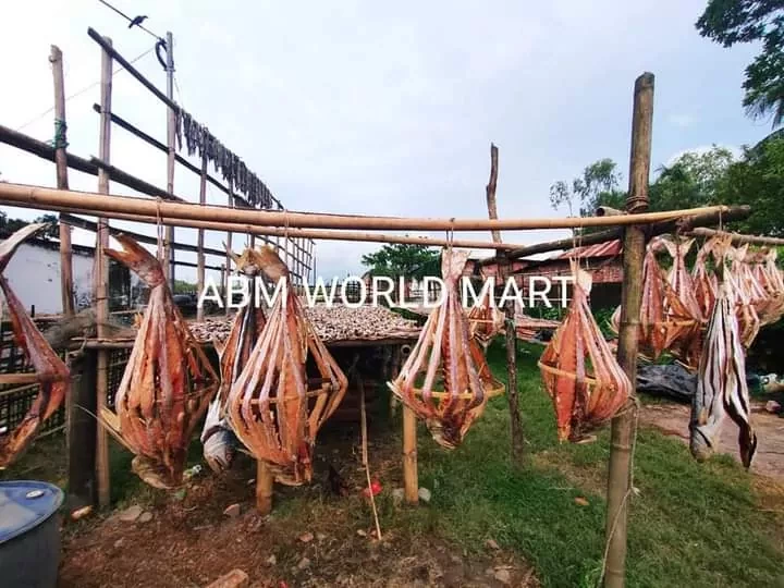 মাইট্যা সুরমা