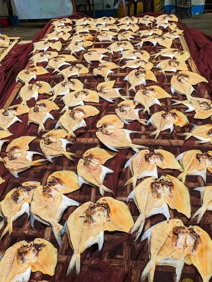 সাদা রূপচাঁদা