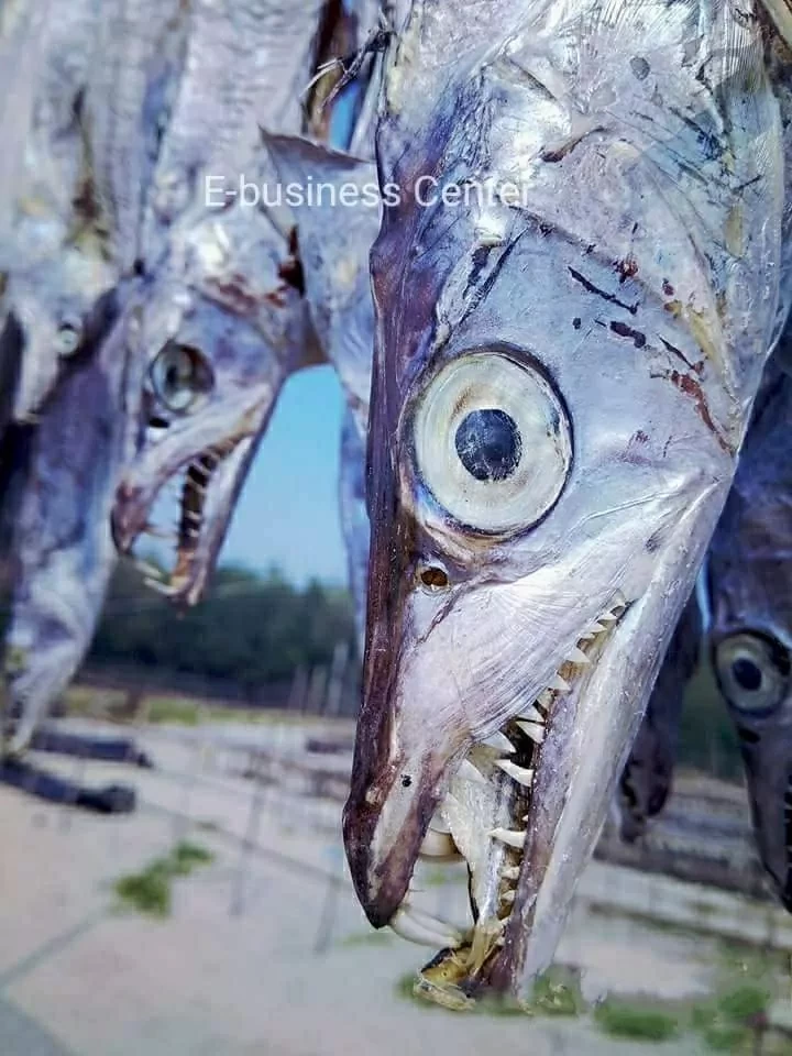 বড় গোড় ছুরি